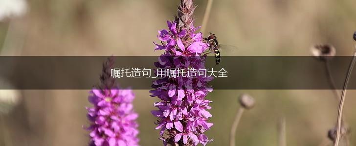 嘱托造句_用嘱托造句大全,第1张