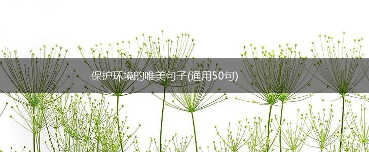 保护环境的唯美句子(通用50句),第1张