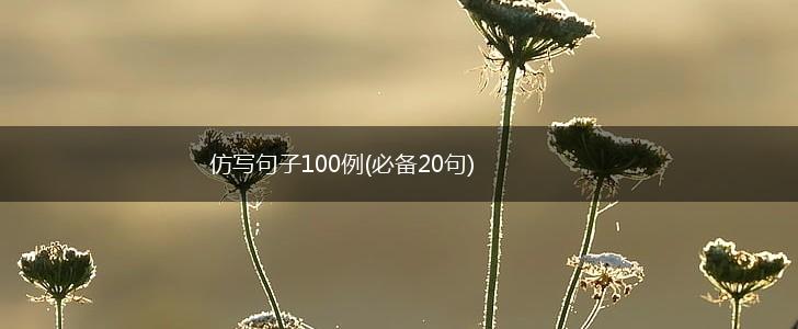 仿写句子100例(必备20句),第1张