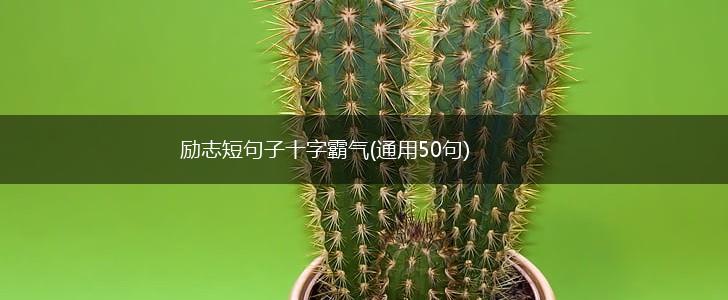 励志短句子十字霸气(通用50句),第1张