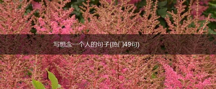 写想念一个人的句子(热门49句),第1张