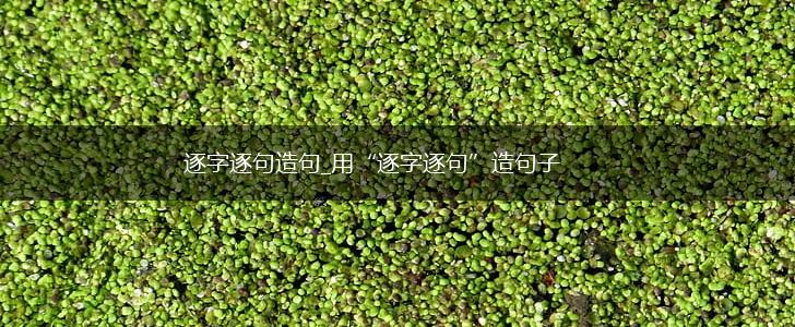 逐字逐句造句_用“逐字逐句”造句子,第1张