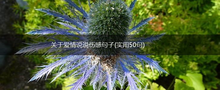 关于爱情说说伤感句子(实用50句),第1张