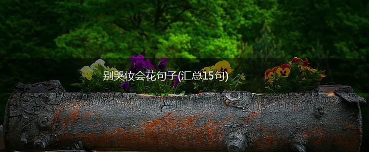 别哭妆会花句子(汇总15句),第1张