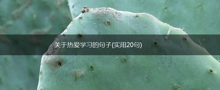 关于热爱学习的句子(实用20句),第1张