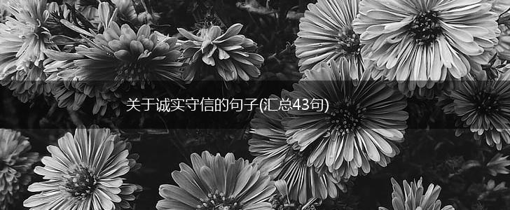 关于诚实守信的句子(汇总43句),第1张