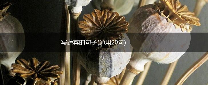 写蔬菜的句子(通用20句),第1张