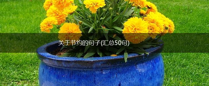 关于节约的句子(汇总50句),第1张