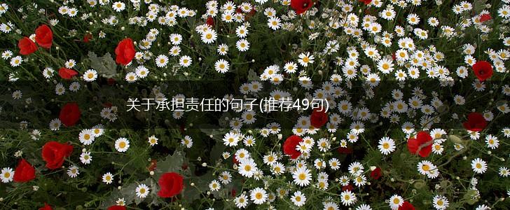 关于承担责任的句子(推荐49句),第1张