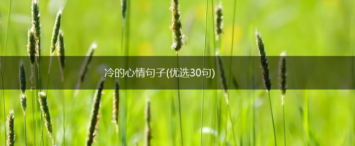 冷的心情句子(优选30句),第1张