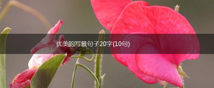 优美的写景句子20字(10句),第1张