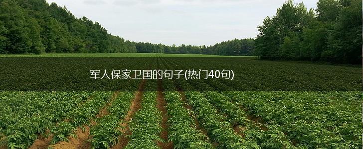 军人保家卫国的句子(热门40句),第1张