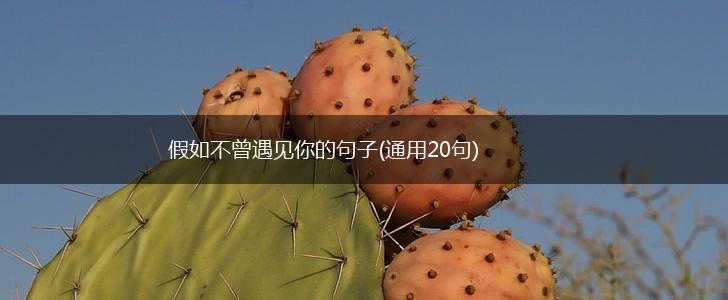 假如不曾遇见你的句子(通用20句),第1张