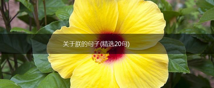 关于朕的句子(精选20句),第1张