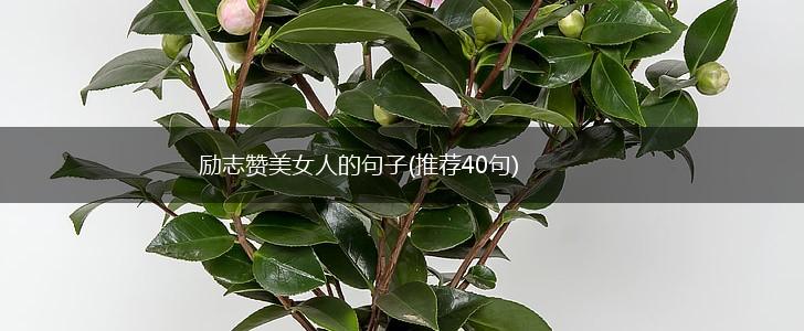 励志赞美女人的句子(推荐40句),第1张
