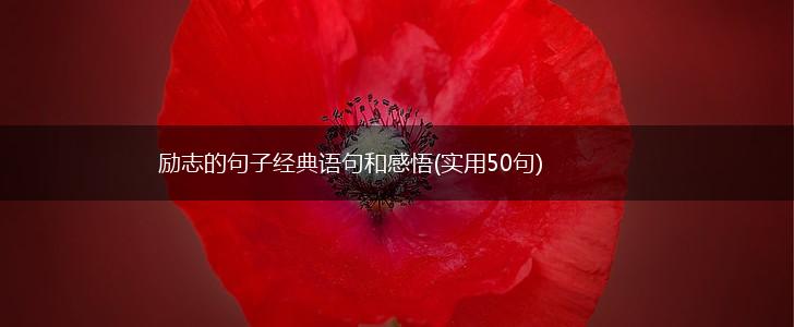 励志的句子经典语句和感悟(实用50句),第1张