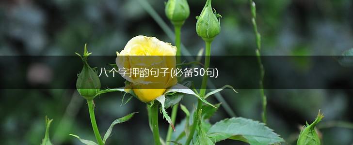 八个字押韵句子(必备50句),第1张