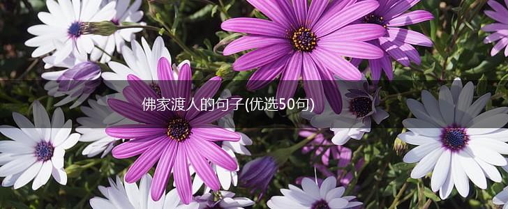 佛家渡人的句子(优选50句),第1张