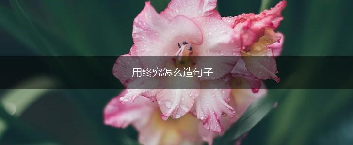 用终究怎么造句子,第1张