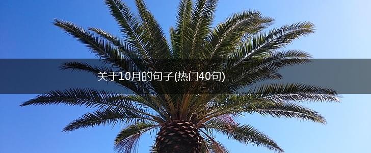 关于10月的句子(热门40句),第1张