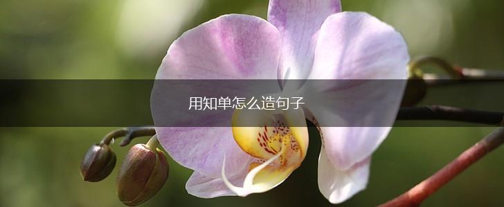 用知单怎么造句子,第1张