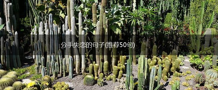 分手失恋的句子(推荐50句),第1张