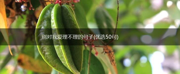 别对我爱理不理的句子(优选50句),第1张