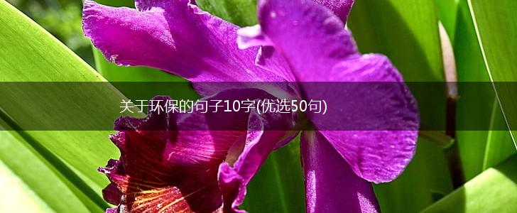 关于环保的句子10字(优选50句),第1张