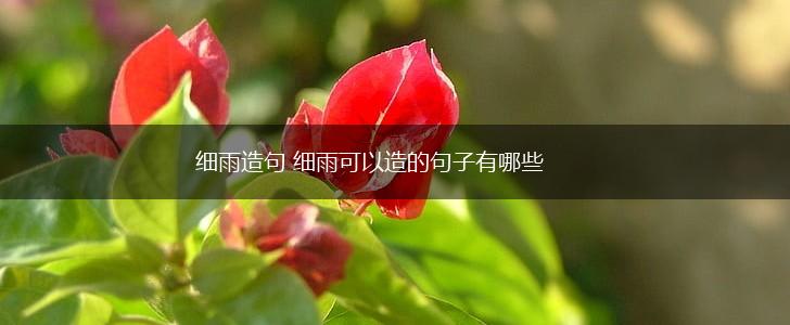 细雨造句 细雨可以造的句子有哪些,第1张