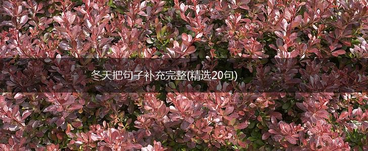 冬天把句子补充完整(精选20句),第1张
