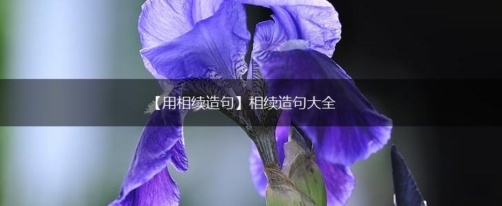 【用相续造句】相续造句大全,第1张