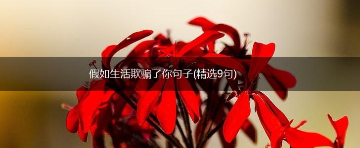 假如生活欺骗了你句子(精选9句),第1张