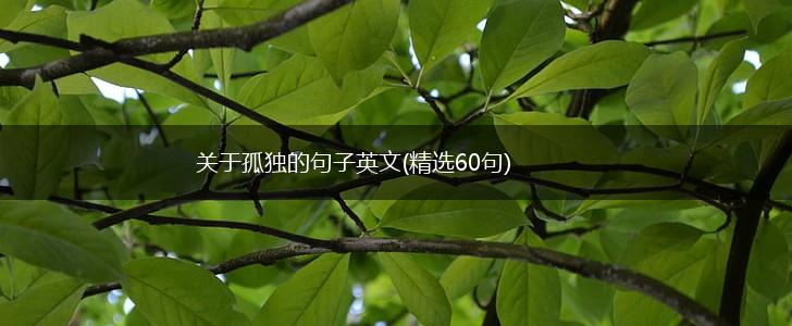 关于孤独的句子英文(精选60句),第1张