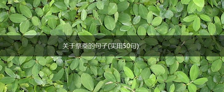 关于祭奠的句子(实用50句),第1张