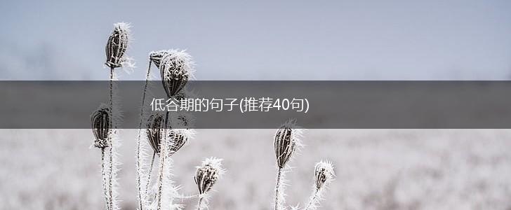 低谷期的句子(推荐40句),第1张