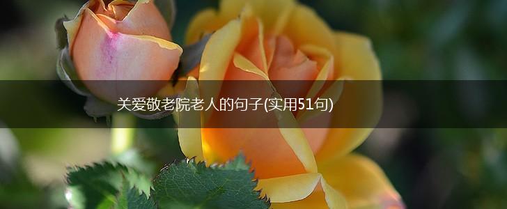 关爱敬老院老人的句子(实用51句),第1张