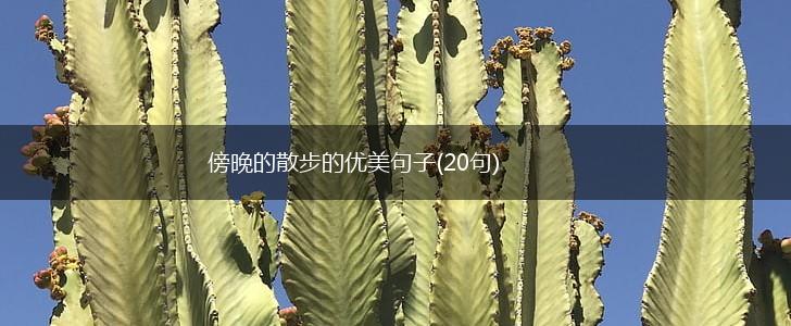 傍晚的散步的优美句子(20句),第1张