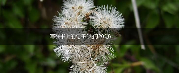 写在书上的句子(热门20句),第1张