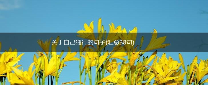 关于自己独行的句子(汇总38句),第1张