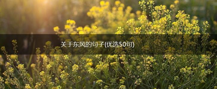 关于东风的句子(优选50句),第1张