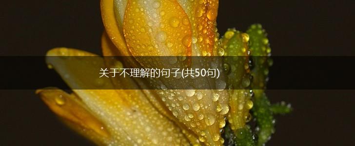 关于不理解的句子(共50句),第1张