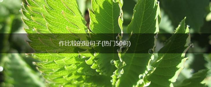 作比较的短句子(热门50句),第1张