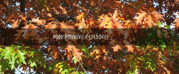 列数字的短句子(共50句),第1张