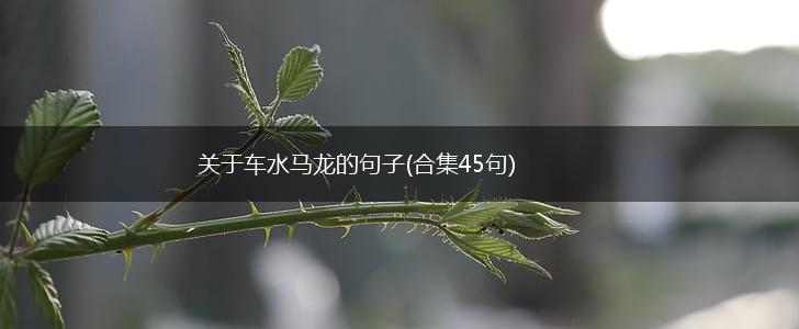 关于车水马龙的句子(合集45句),第1张