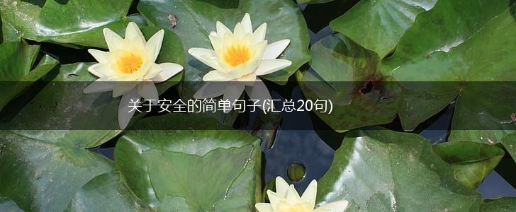 关于安全的简单句子(汇总20句),第1张