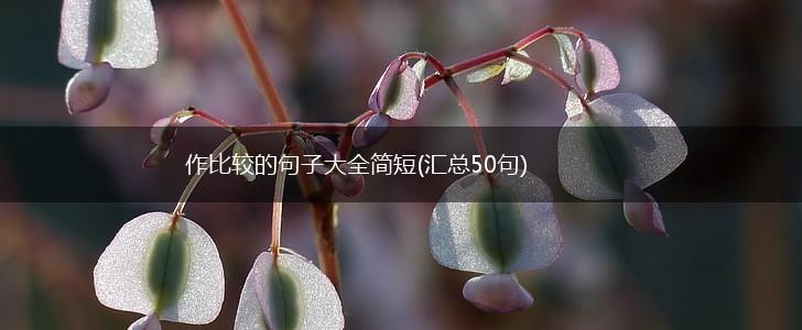 作比较的句子大全简短(汇总50句),第1张
