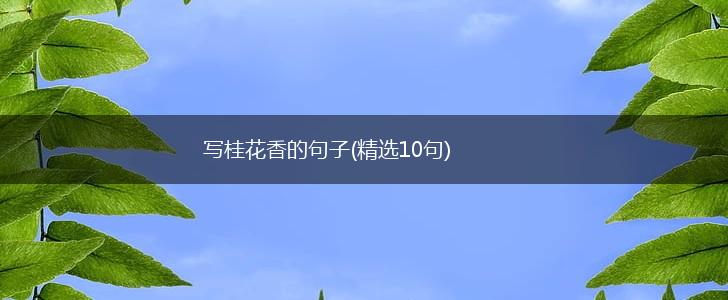 写桂花香的句子(精选10句),第1张