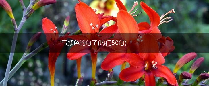 写颜色的句子(热门50句),第1张
