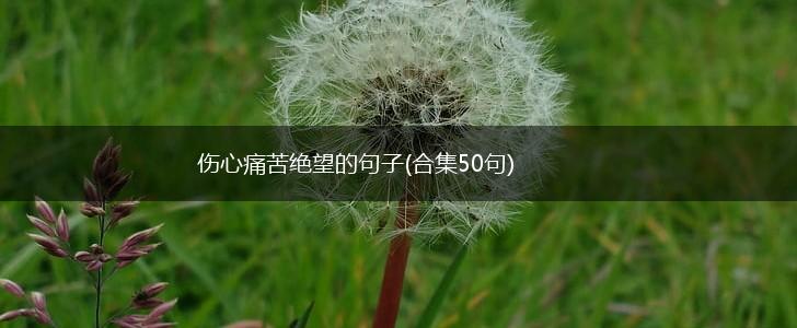 伤心痛苦绝望的句子(合集50句),第1张