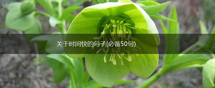 关于时间快的句子(必备50句),第1张